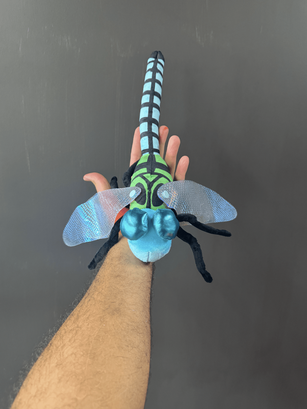 Molting Dragonfly Thrashie — Tyler Thrasher
